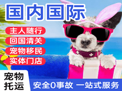 西安咸阳国际宠物托运 【国